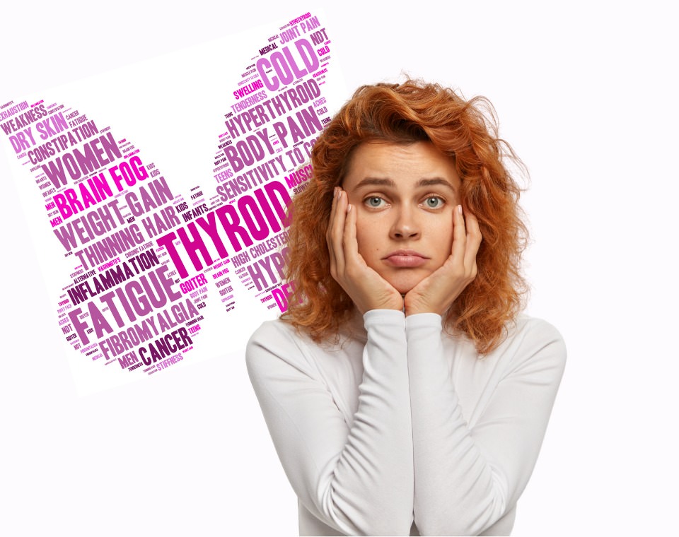 shatavari thyroid content